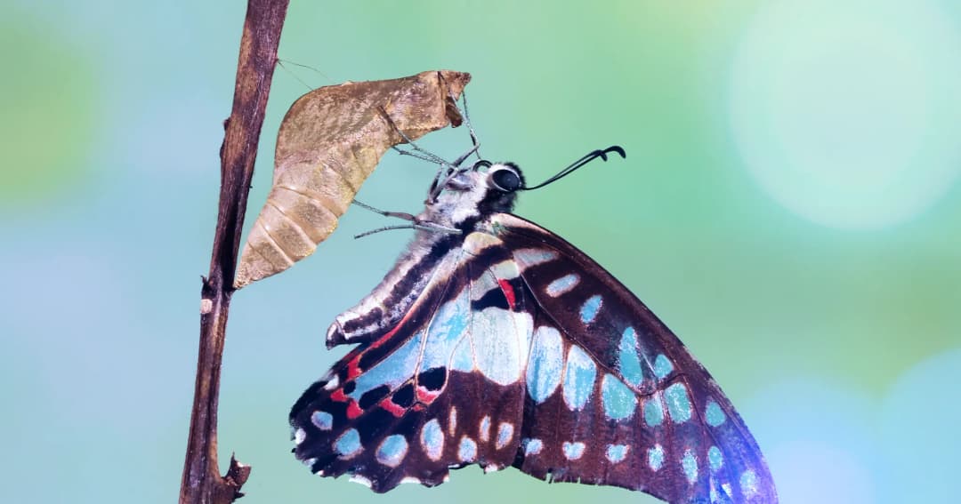 Overcoming Resistance to Change: A Step-by-Step Guide for Organisations